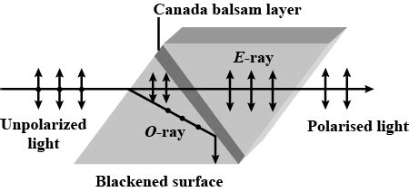 nicol prim polarimeter diagram|NICOL PRISM (Principle, construction and working).